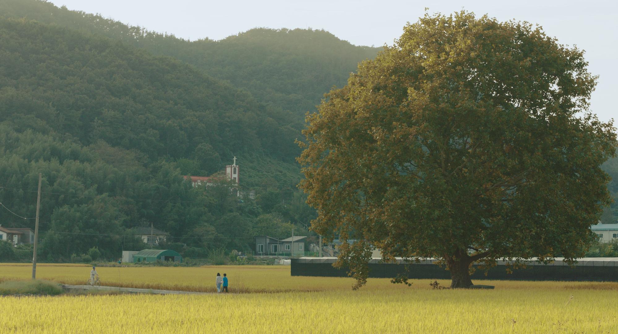 가을바람 불르면