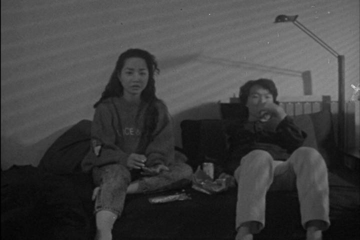 호모비디오쿠스